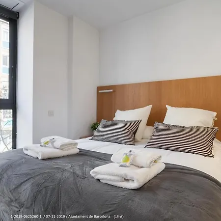 Flateli Navas A01 Barcelona
